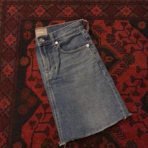 Everlane Denim Skirt